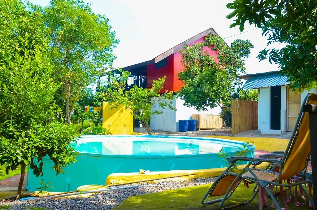 Campground To Bougainvillea Paradise Camp And Hostel Dauis Filipíny