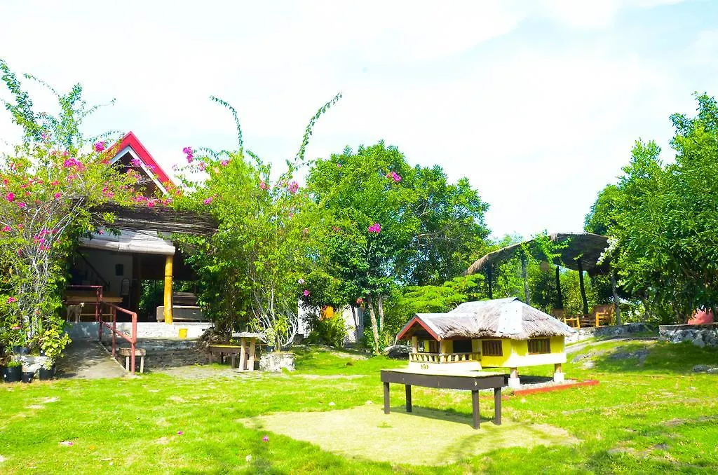 Campground To Bougainvillea Paradise Camp And Hostel Dauis Kemp
