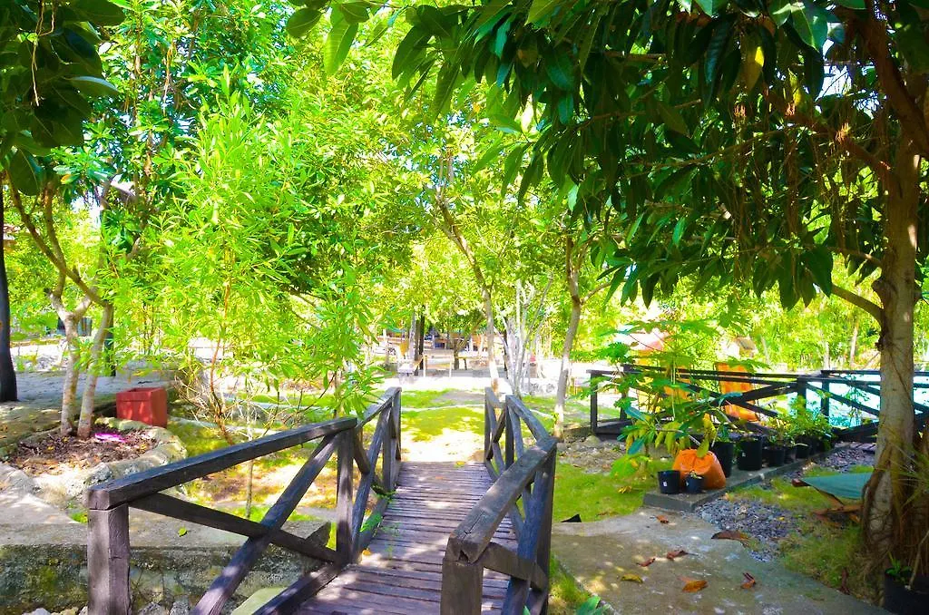 Campground To Bougainvillea Paradise Camp And Hostel Dauis Kemp